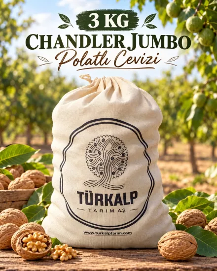KURU KABUKLU CEVİZ-CHANDLER-3 KG