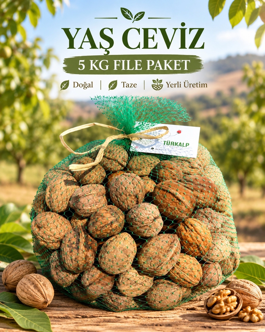 YAŞ CEVİZ-CHANDLER-5 KG